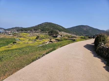 청산도 슬로우 걷기 축제: 자연과 문화의 완벽한 조화