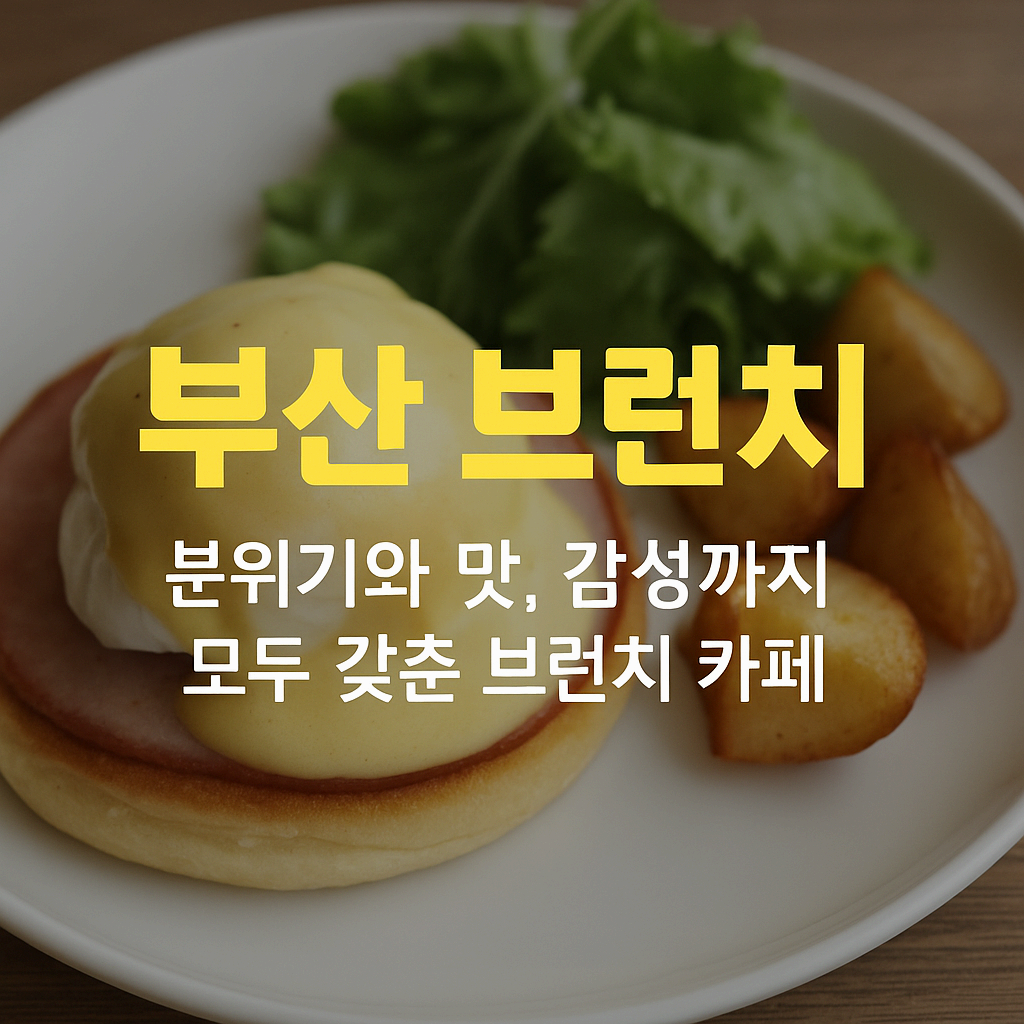 부산 브런치 투어 어디까지 가봤니? SNS 인기 맛집 총정리