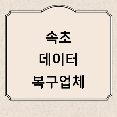 속초시 데이터복구