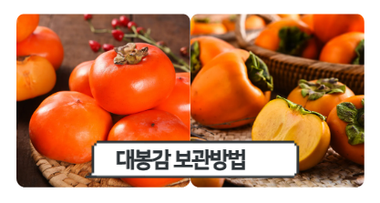 대봉감 보관방법