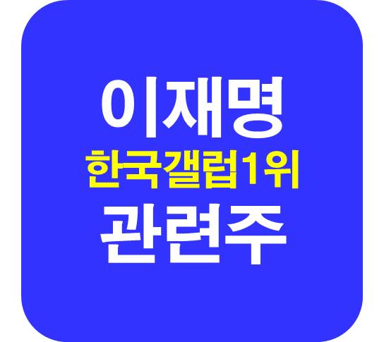 이재명 관련주 여조1위