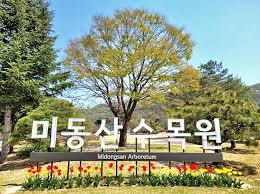 청주 가볼만한곳 베스트: 미동산수목원