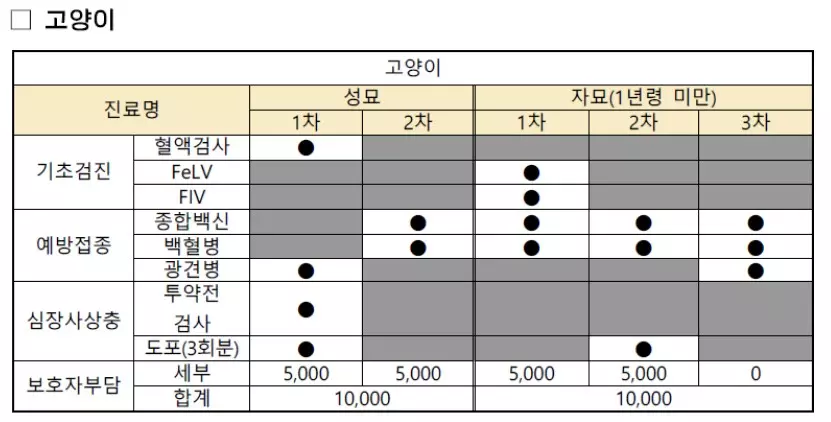 우리동네 동물병원