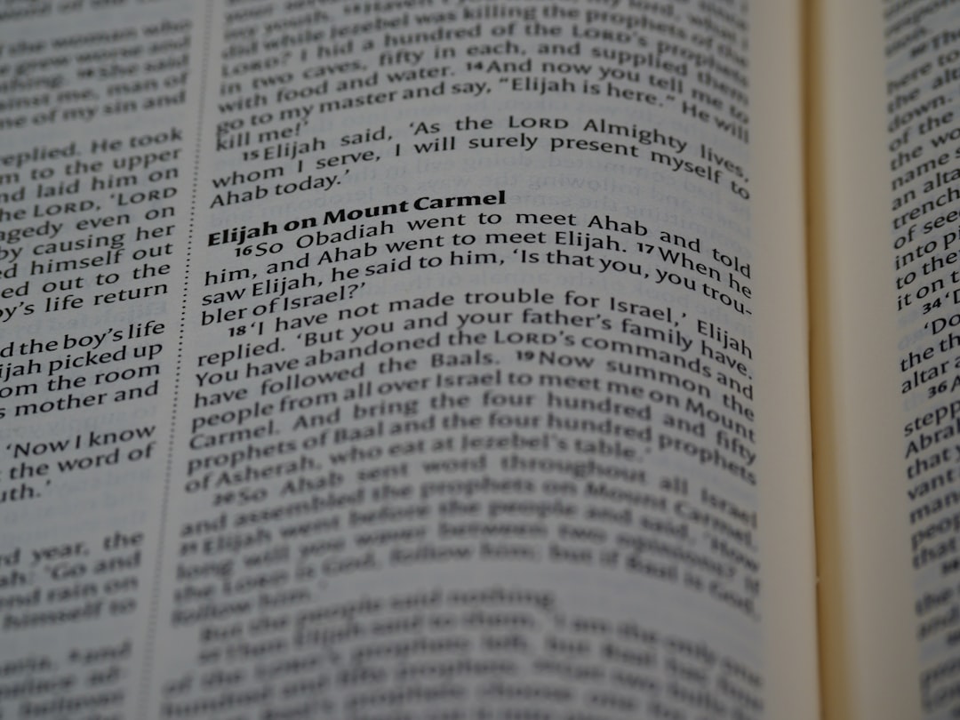 사용처를 영어로 번역하면 usage가 될 수 있습니다.