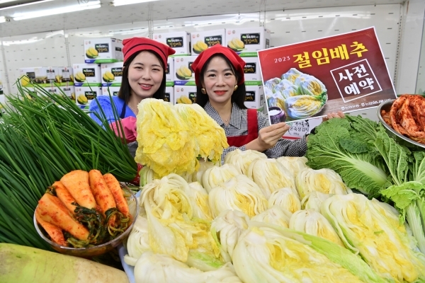 절임배추 판매 사전예약 가격 비교 추천