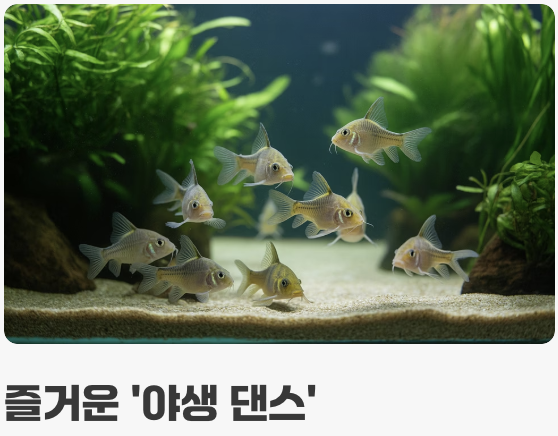함께하면 즐거워! '떼' 지어 키우기