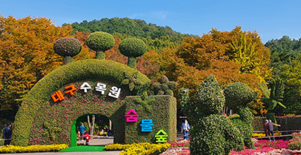 대구수목원 국화전시회