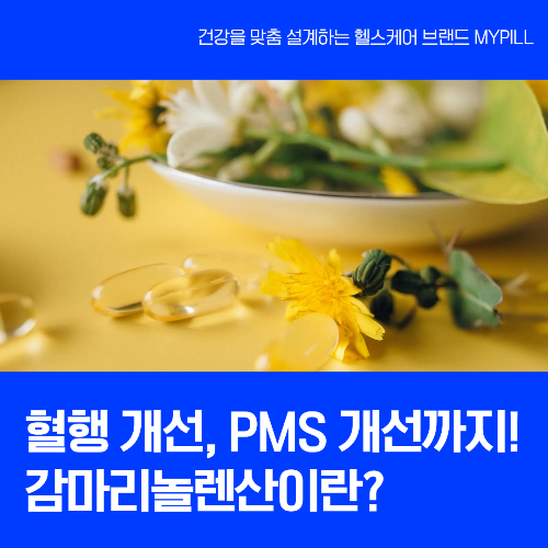 pms 개선 및 혈행 개선을 돕는 감마리놀렌산
