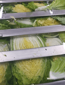 절임배추 추천 Best 3