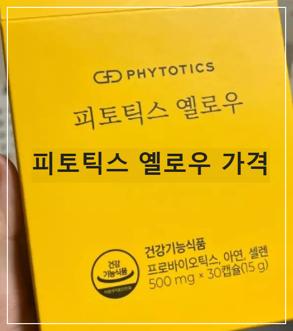 피토틱스 옐로우 가격