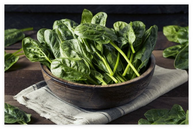 마그네슘이-풍부한-음식