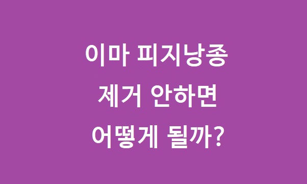 이마 피지낭종 제거