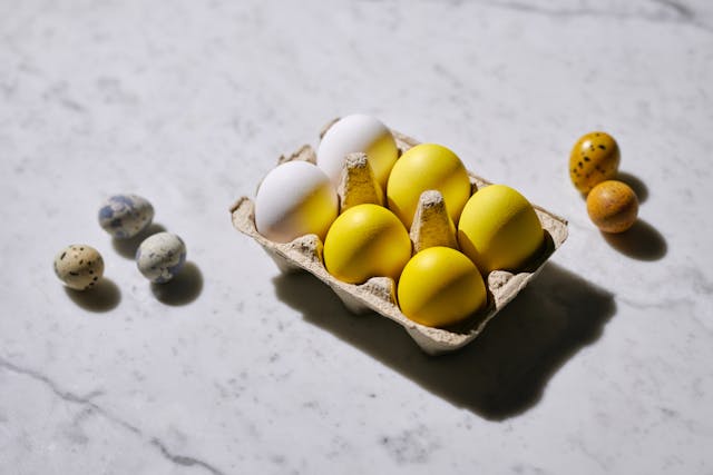 철분이-많은-음식