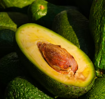 두통에 좋은 음식 영양제 식단