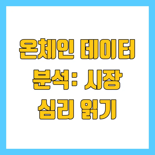 온체인데이터분석