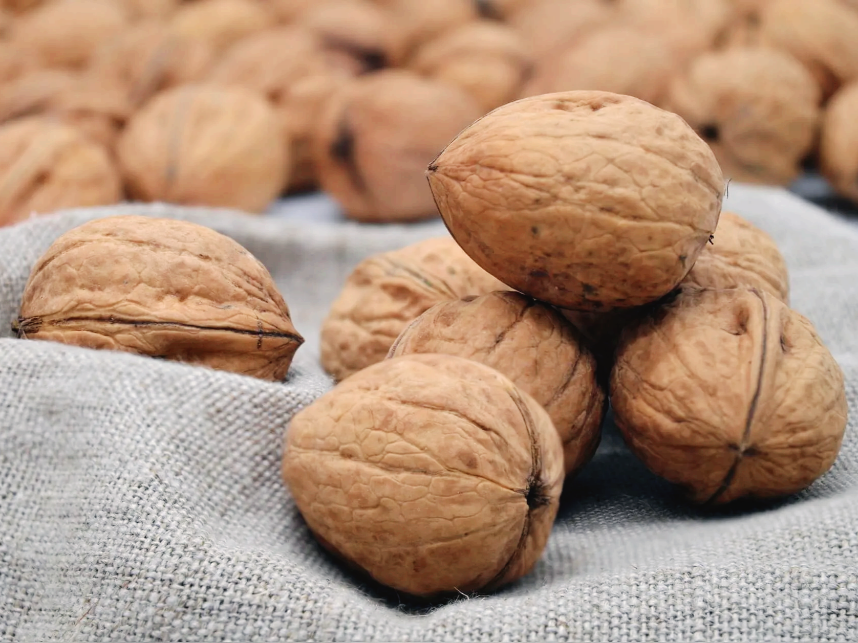 호두 하루 섭취 권장량