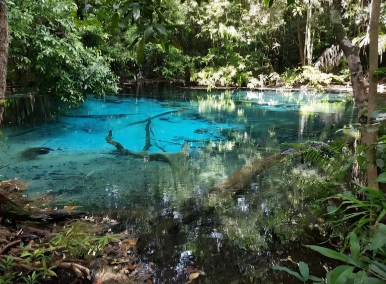 숲속의 비밀스런 보석 같았던 블루라군