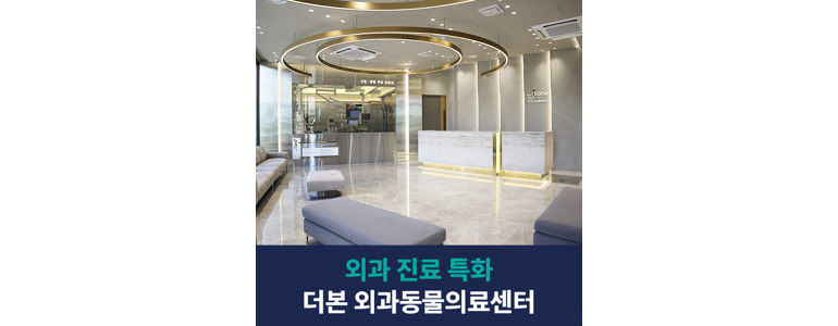 부산 남구 동물병원