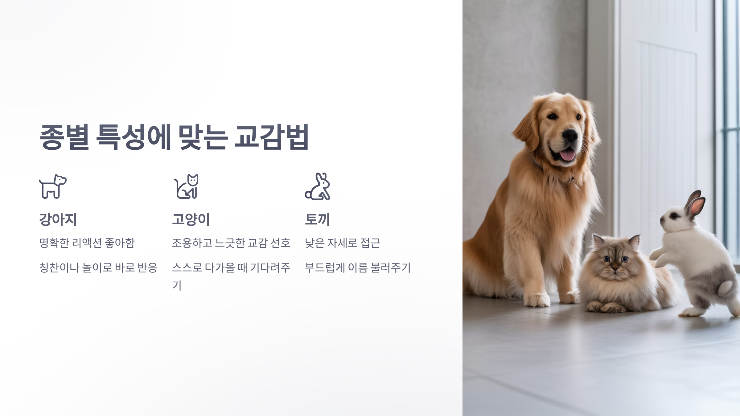 참조-반려동물과-교감-4