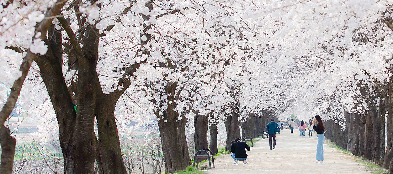 안동 가볼만한곳 베스트10