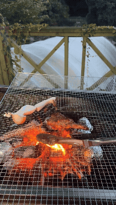 숯불 위에서 양갈비를 굽는 장면. 불꽃 사이로 고기가 익어가며 고소한 향이 전해지는 듯하다.