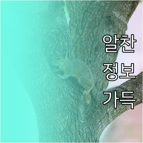 내 몸에 맞는 운동매트? 소재, 안전..