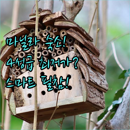 마닐라 스마트 여행자 필수 참고 4성..