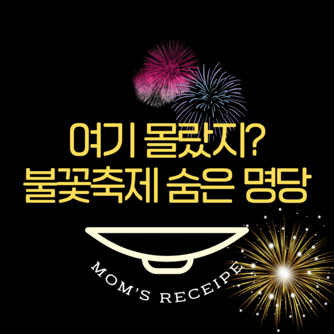 2025년 여의도 불꽃축제 명당