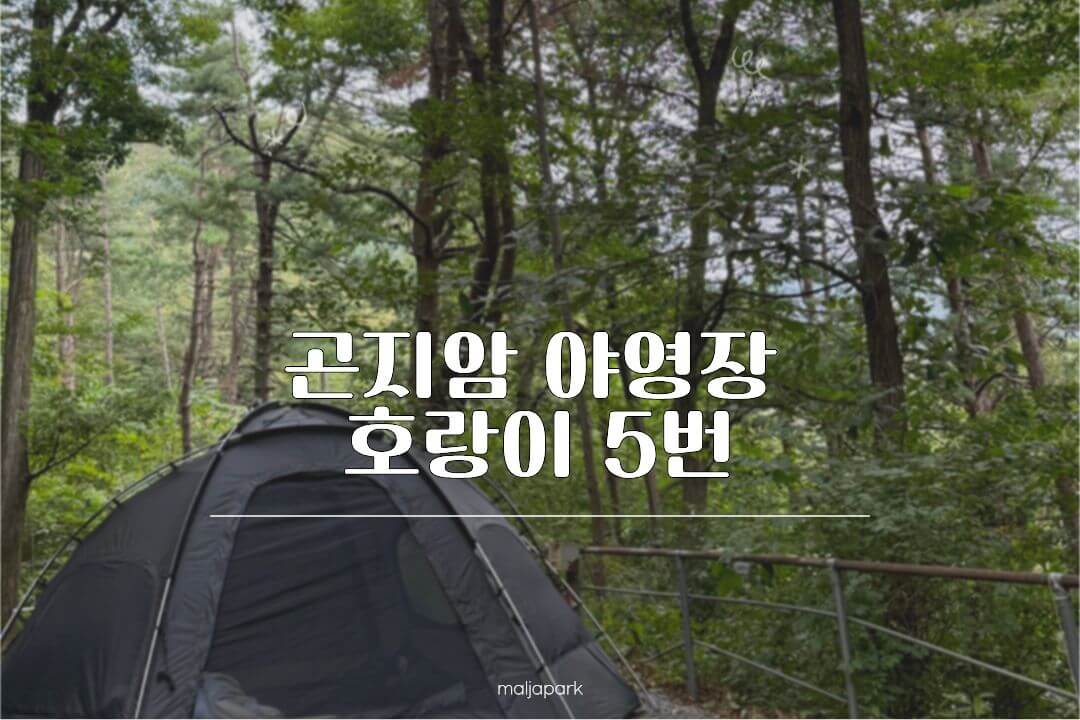 곤지암야영장 호랑이영지 5번 후기 대표 이미지