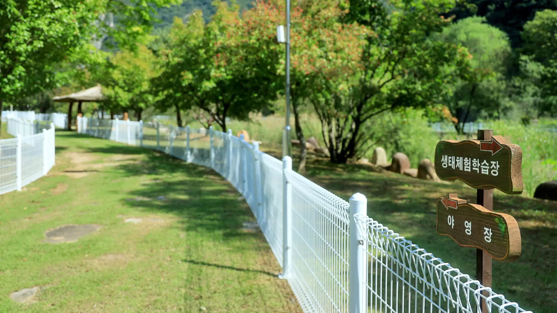 우수 공공야영장 20곳 소개 가족 반려동물 교통약자 친환경 자동차 캠핑장 문체부 한국관광공사 선정