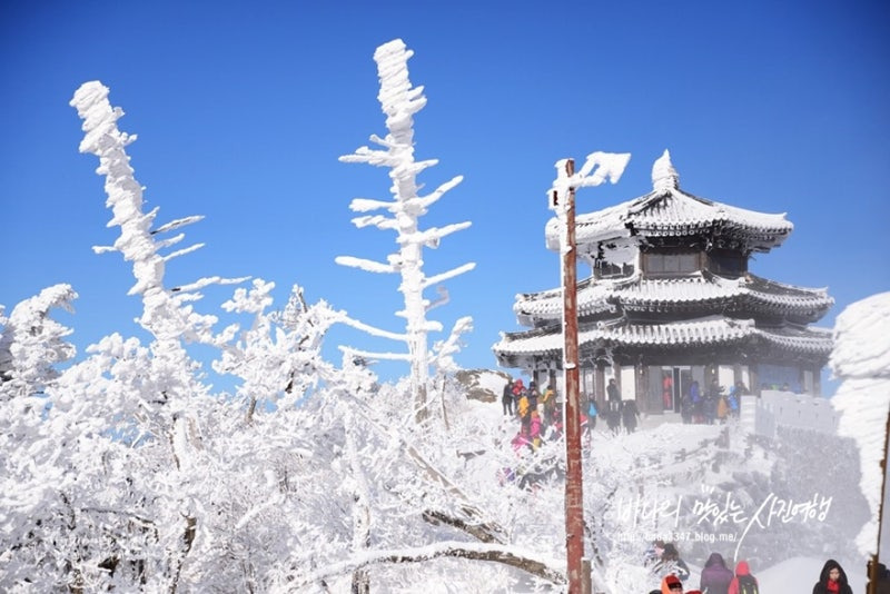 겨울 여행지 베스트 10