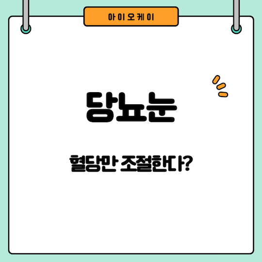 당뇨눈-혈당-조절