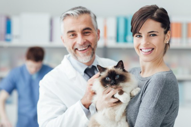 여자가 안고 있는 고양이와 수의사.