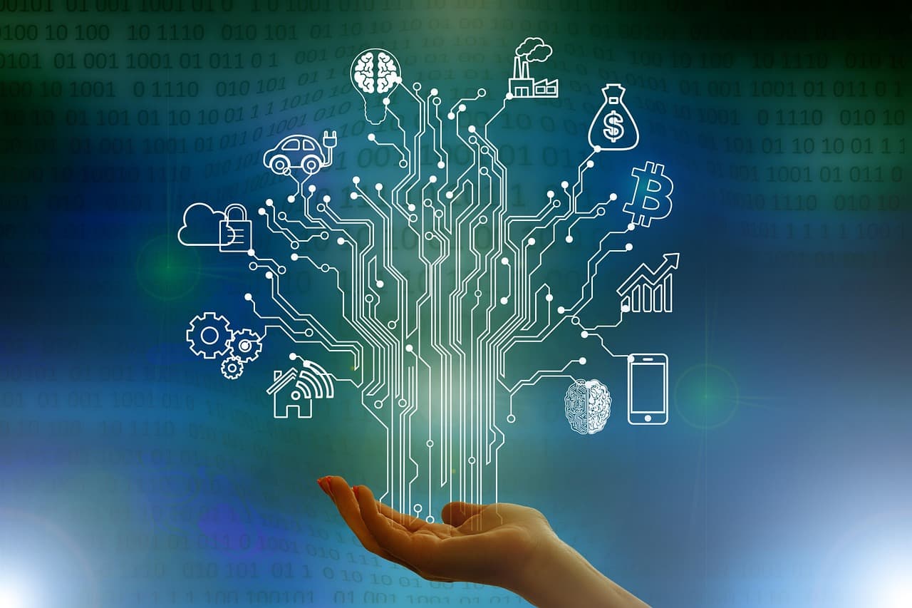 NFT 콘텐츠 큐레이터