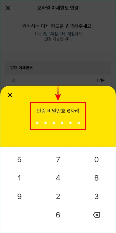 인증 비밀번호 6자리를 입력