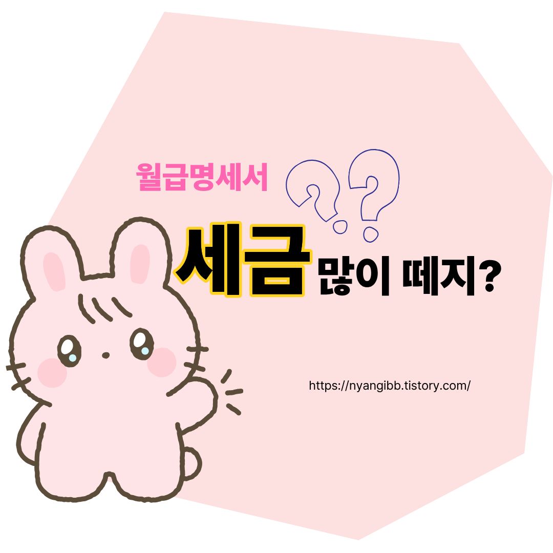 월급명세서 세금 많이 떼는 이유 관련 사진