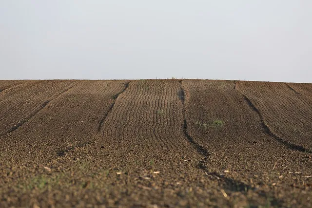토지(임야)대장