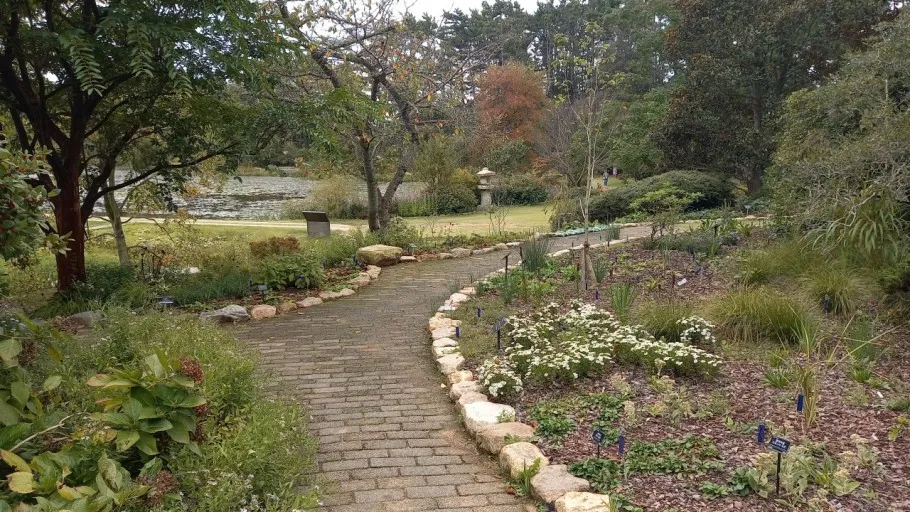 천리포 수목원 목련축제 입장료 여행코스_5