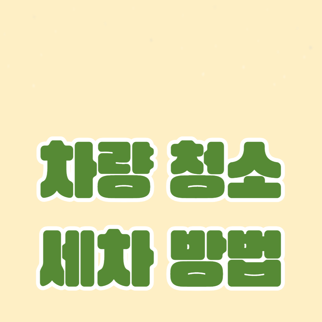 차량 청소와 세차 방법: 실내외 관리법