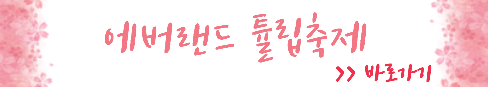 에버랜드 튤립축제