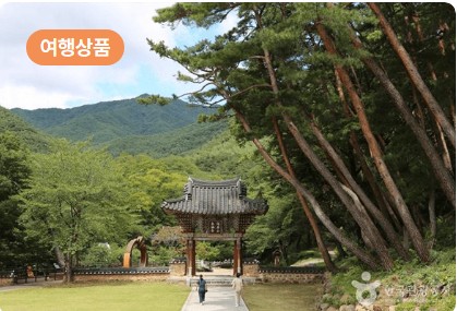 6월 여행지 추천