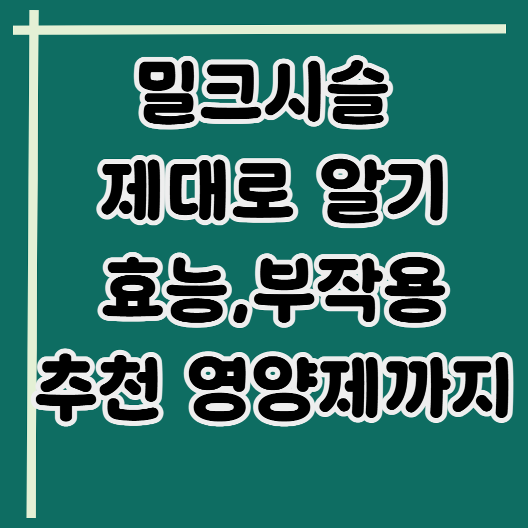 밀크시슬 제대로알기! 효능부터 부작용, 추천 영양제까지