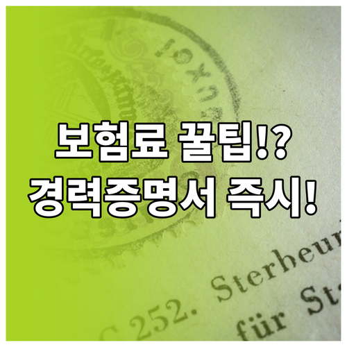 보험료 할인 필수 운전경력증명서 온라..
