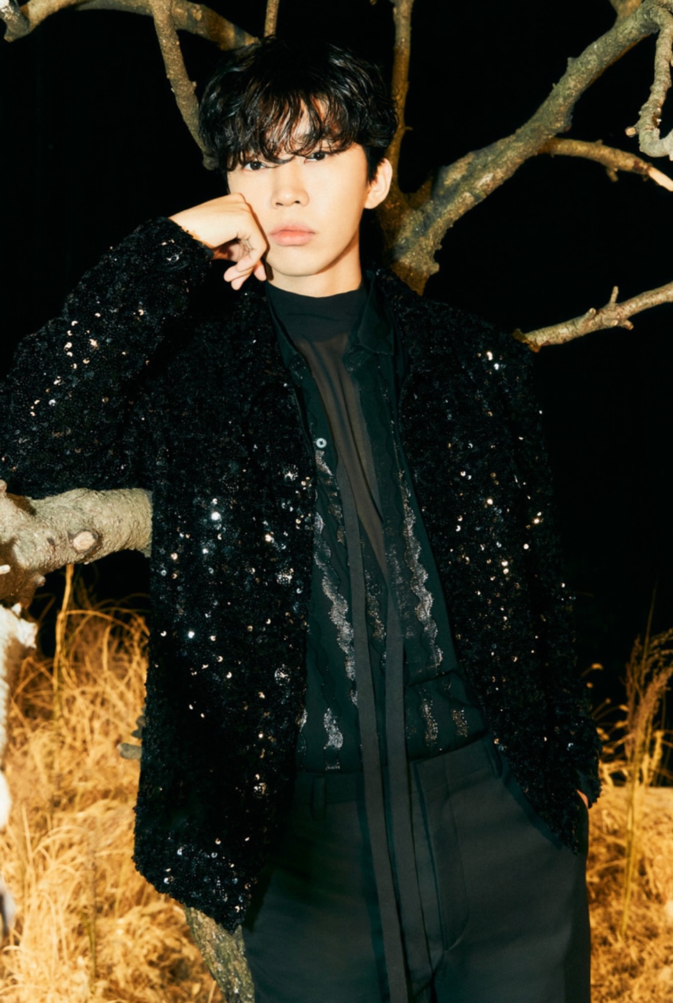 임영웅 대구 콘서트 티켓팅