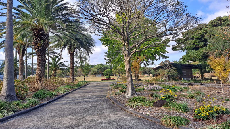 제주여행_여미지식물원