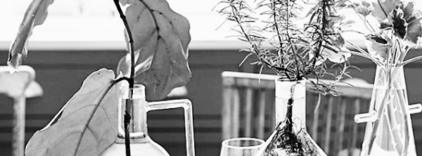 수경재배 방법 6가지 ② 수경재배 장점