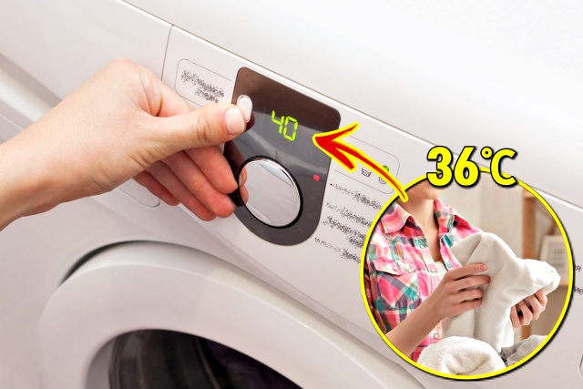 온수세탁, 쉰내나는 빨래, 쉰내나는 수건, 쉰내나는옷, 쉰내 없애는 법, 세탁, 팁줌 매일꿀정보