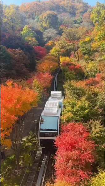 화담숲; 예매방법&amp;#44; 즐기는 방법&amp;#44; 방문후기 총정리