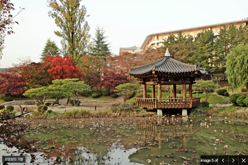 경주 가볼만한곳 베스트 10