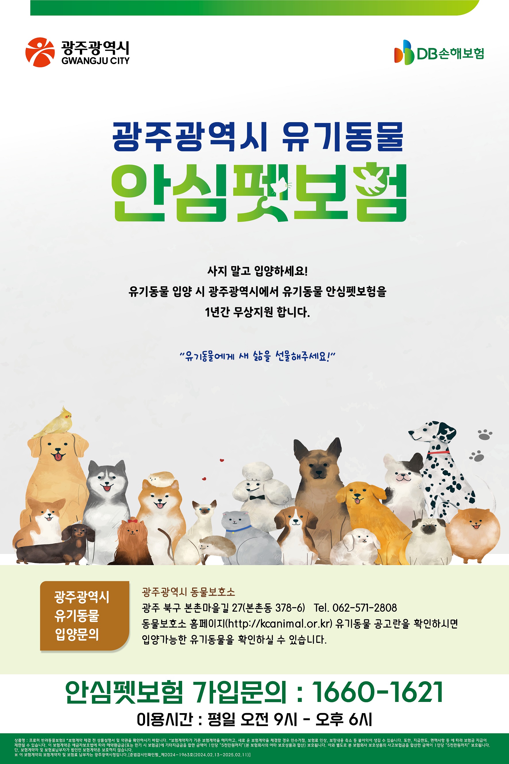 광주광역시 유기동물 안심펫보험